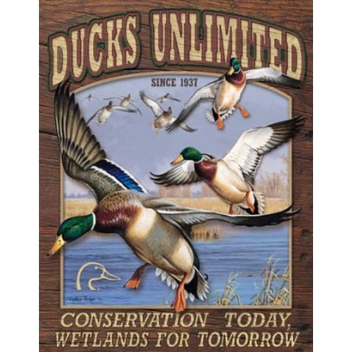 [605279117505] Ducks Unlimited Conservation Wetlands