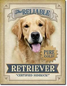 [605279122622] The Reliable Retriever