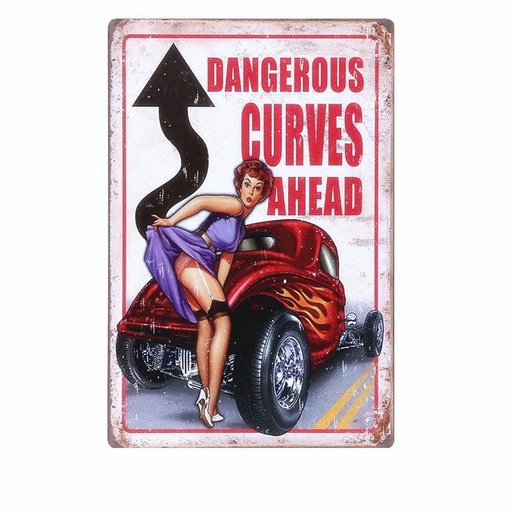 [605279116706] Dangerous Curves Ahead