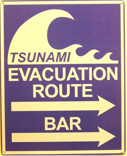 [3251916155132] Tsunami Evacuation