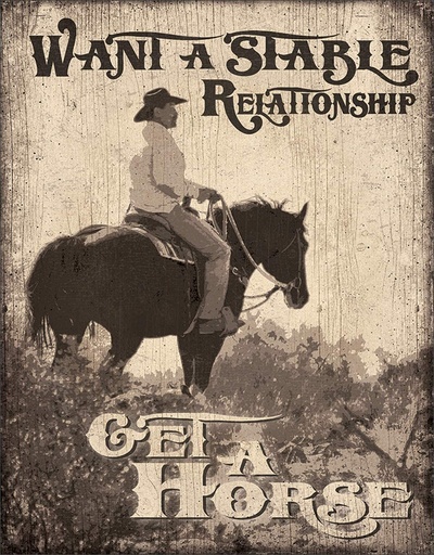 [605279220243] Want A Stable Relationship Get A Horse