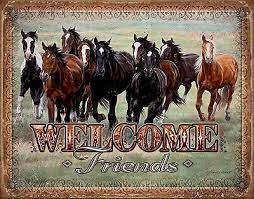 [605279119493] Welcome Friends Horses