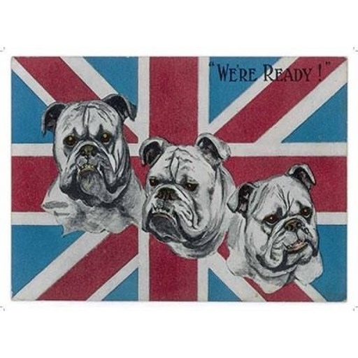 [9562109845616] We're Ready