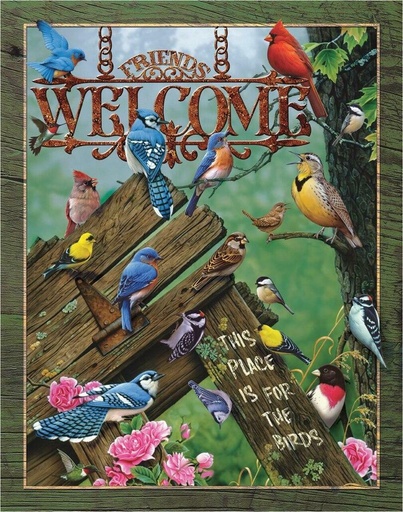 [60527912002] Friends Welcome this Place is For the Birds
