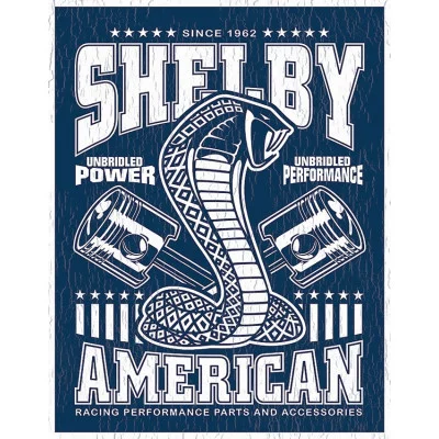 [605279123728] Shelby