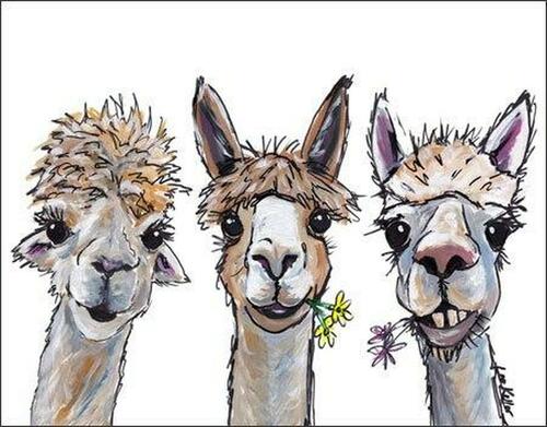 [605279124169] Alpaca Trio 