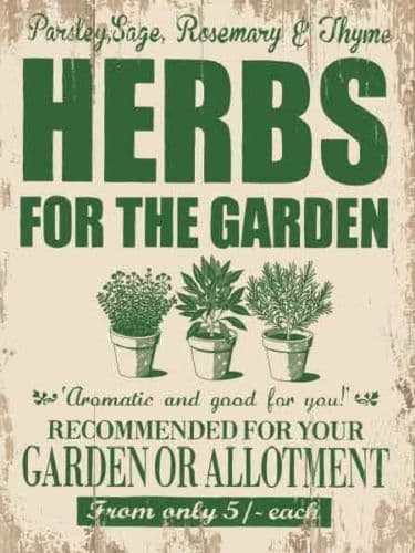 [96322124452] Herbs For The Garden