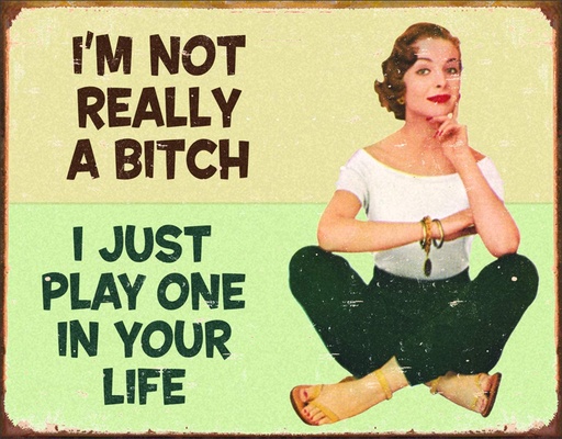 [922121214552] I'm Not Really A Bitch I Just Play One in Your Life