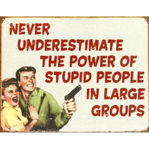 [605279115532] Never Underestimate Stupid People